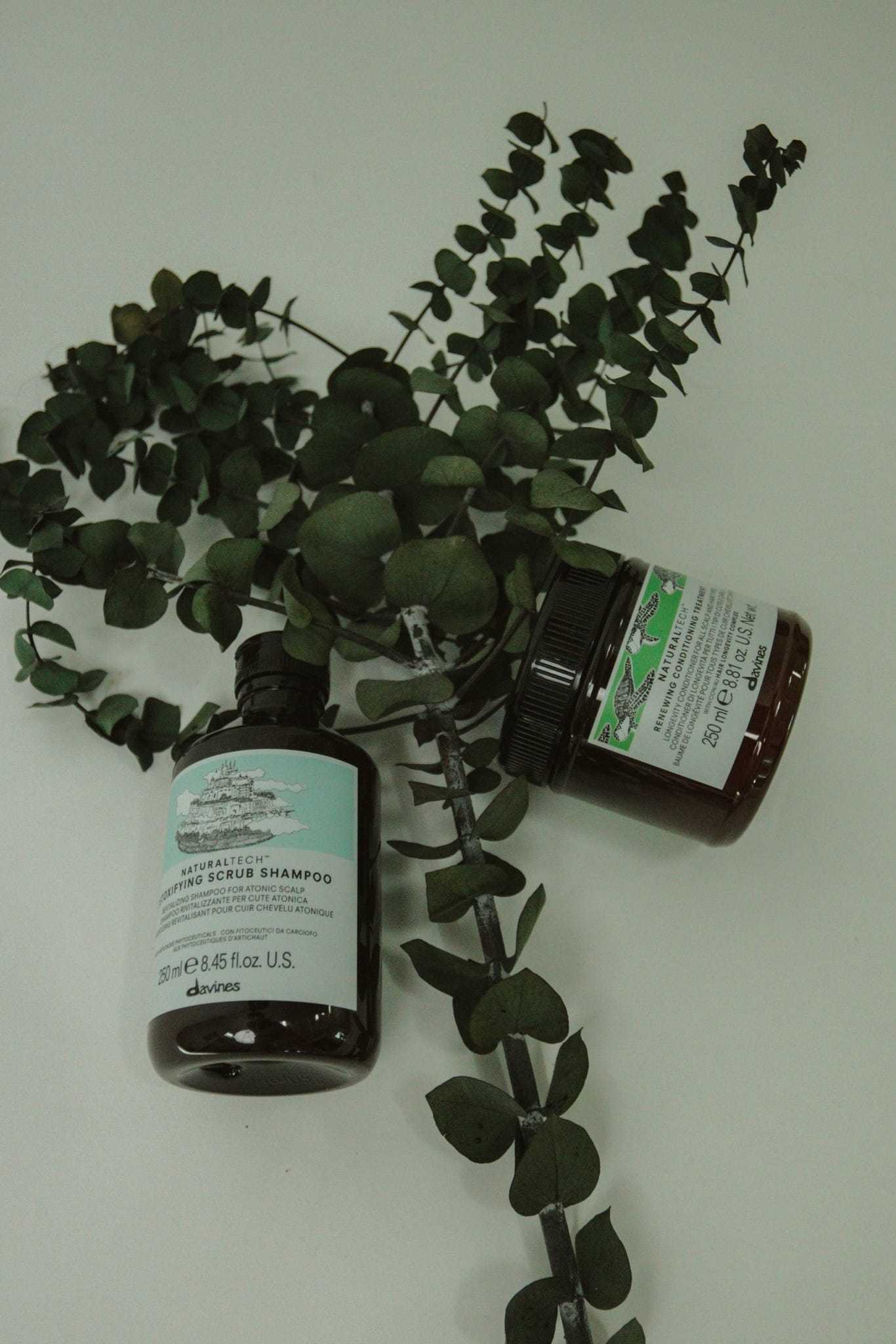 Bottles of hair products nestled among eucalyptus branches on a white background.