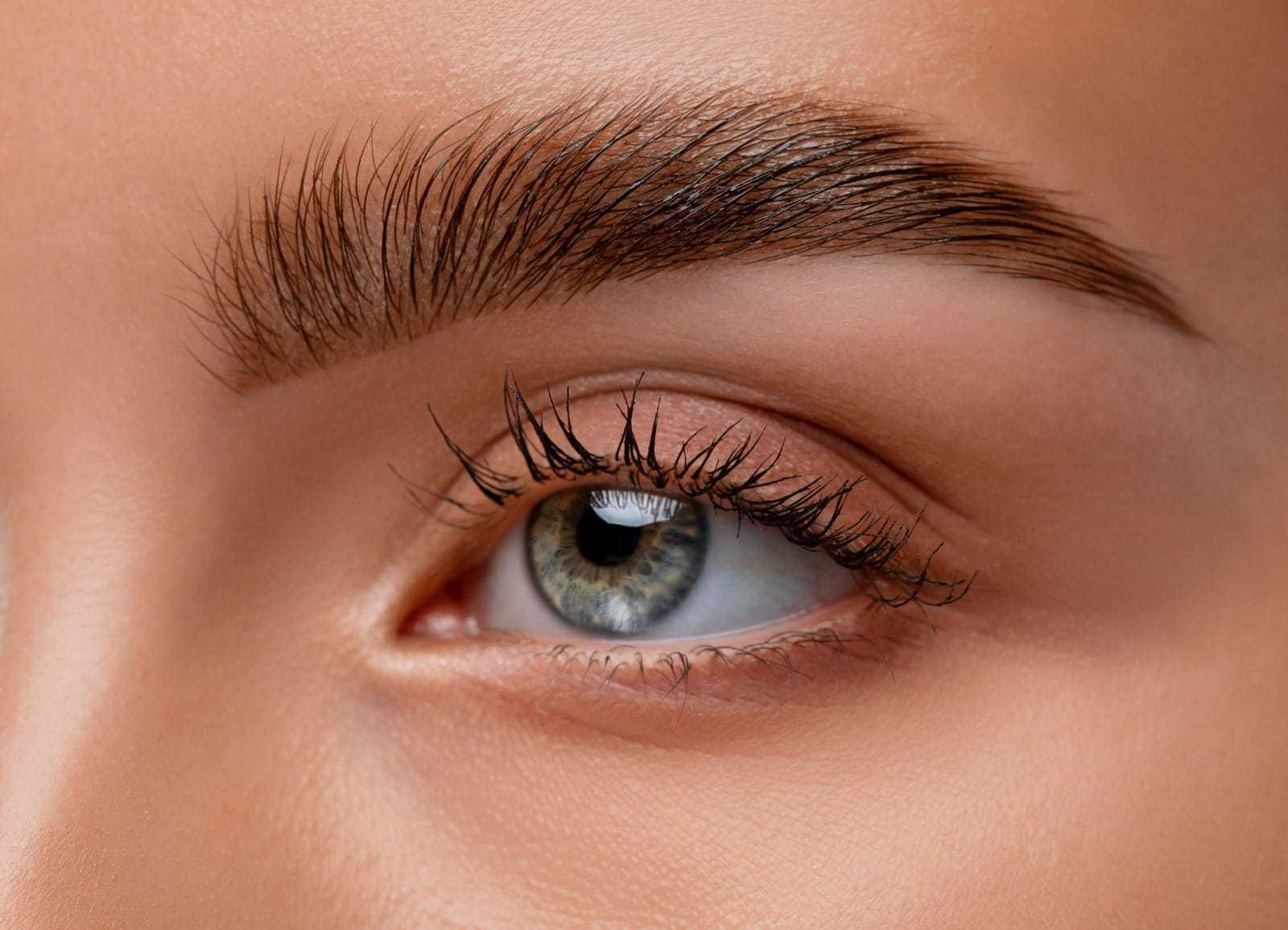 Close-up of a person's eye with well-groomed eyebrows and clear skin.